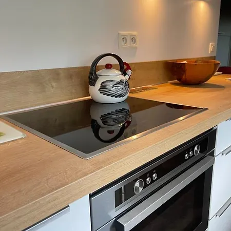 Apartament Confort Au Calme Avec Jardin Proche Cannes