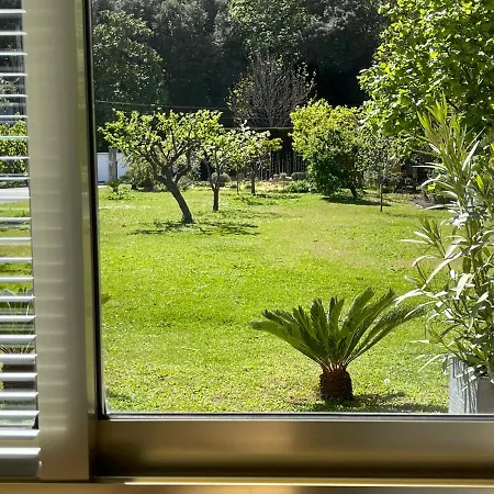 Apartament Confort Au Calme Avec Jardin Proche Cannes Le Cannet
